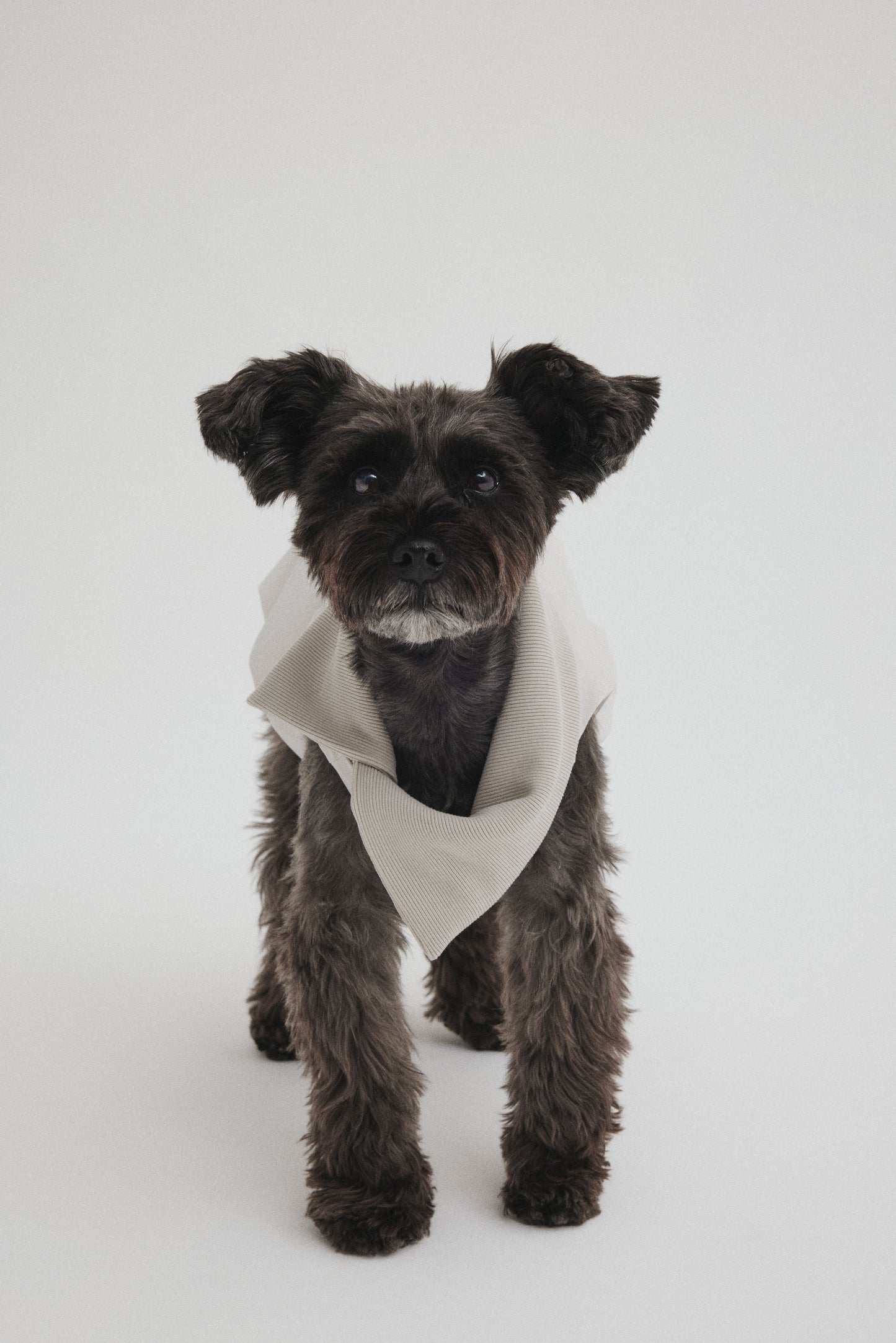 Rib Neck Pullover