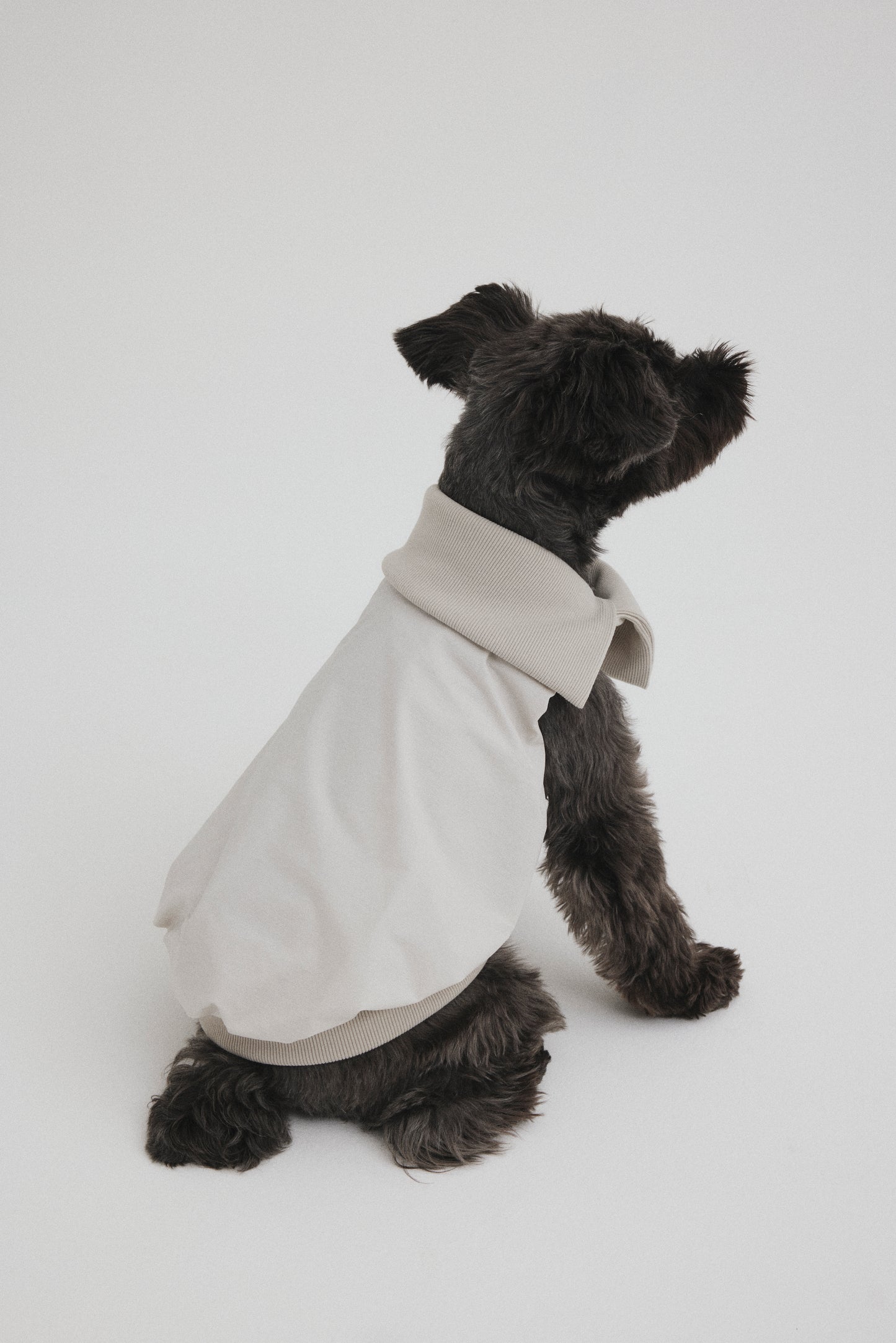 Rib Neck Pullover
