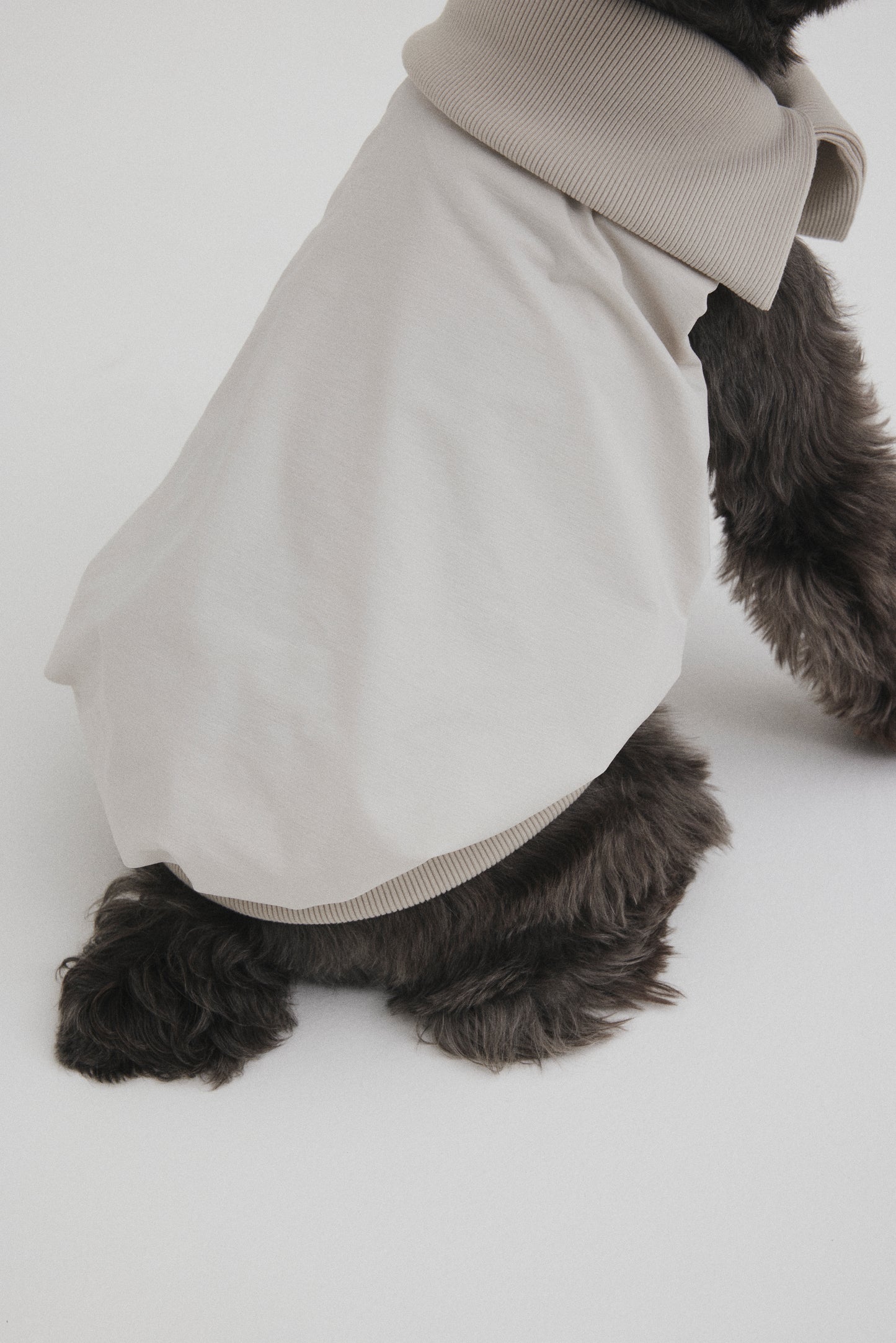 Rib Neck Pullover