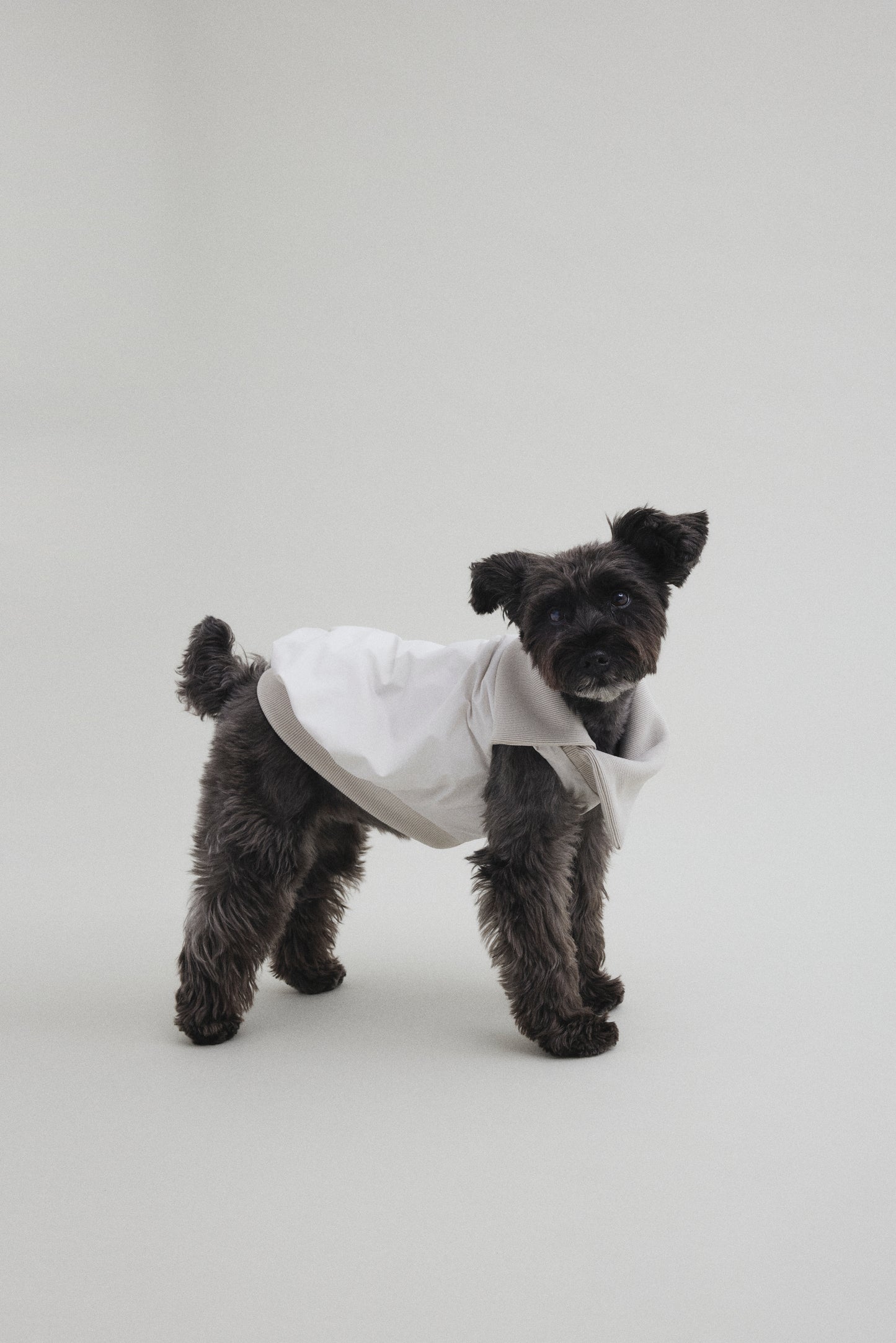 Rib Neck Pullover