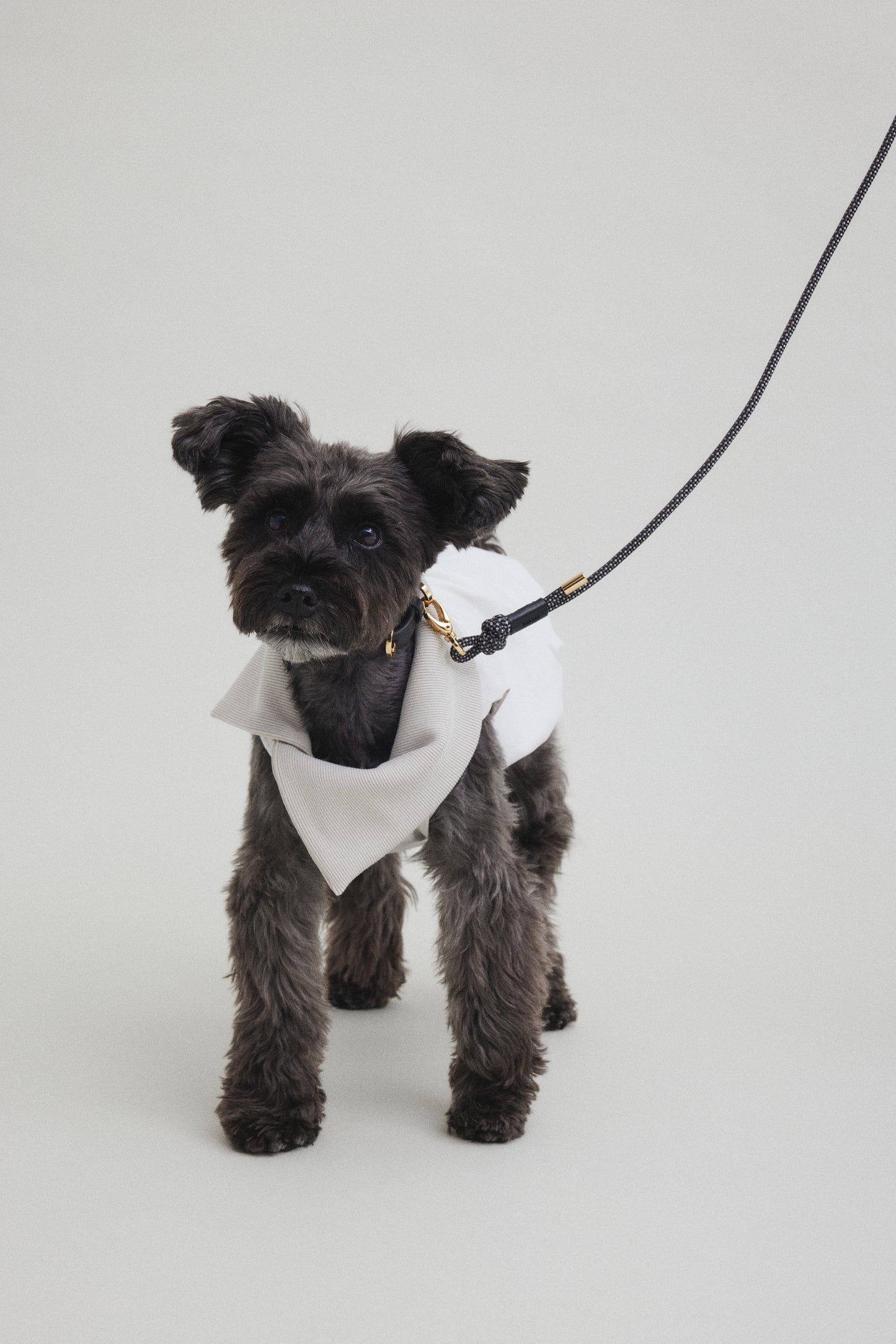 Shoulder Leash