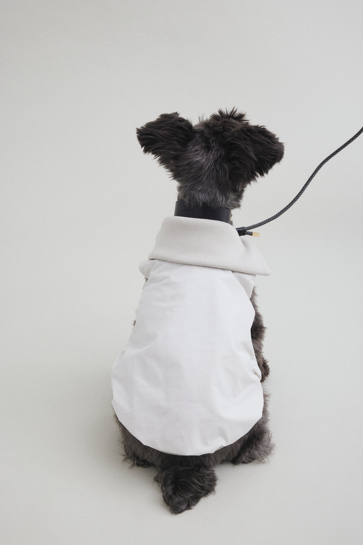 Rib Neck Pullover