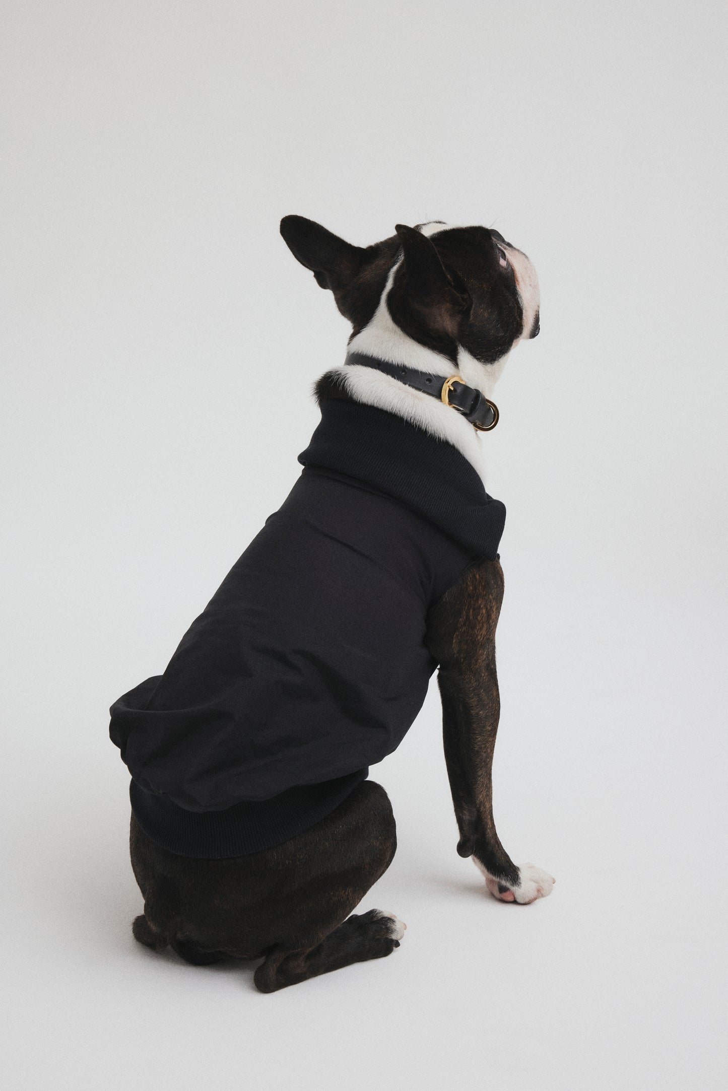 Rib Neck Pullover