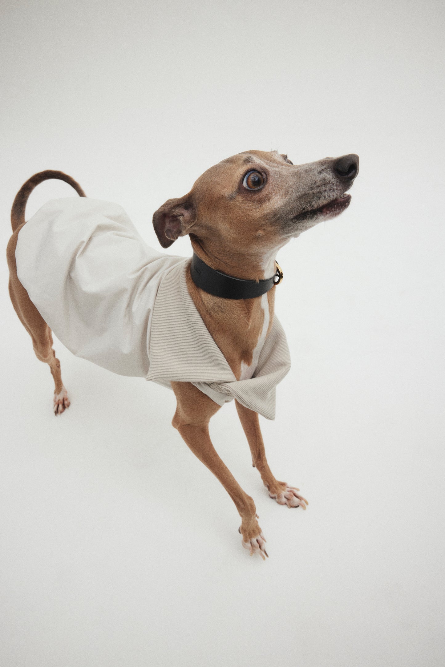 Rib Neck Pullover