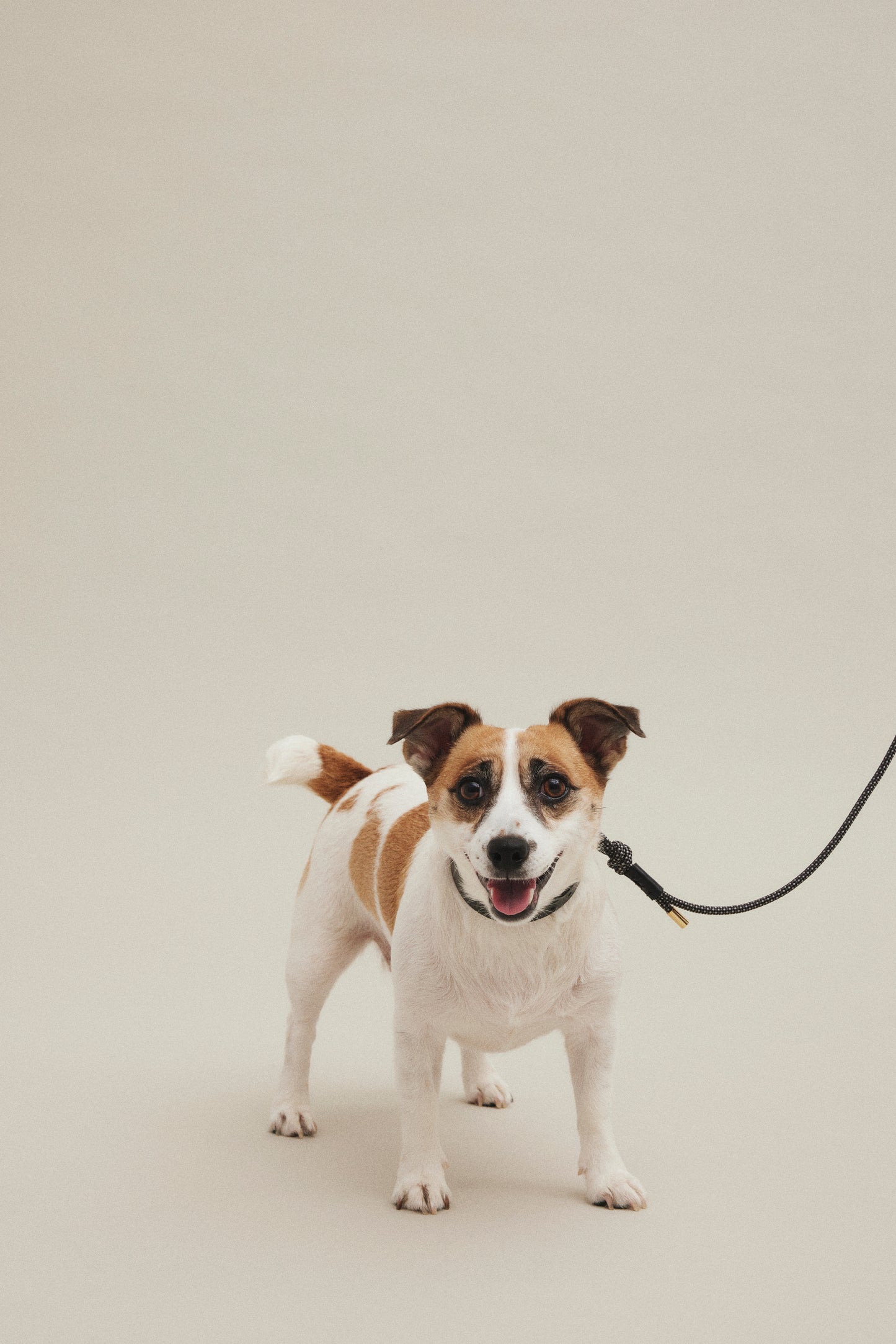 Shoulder Leash