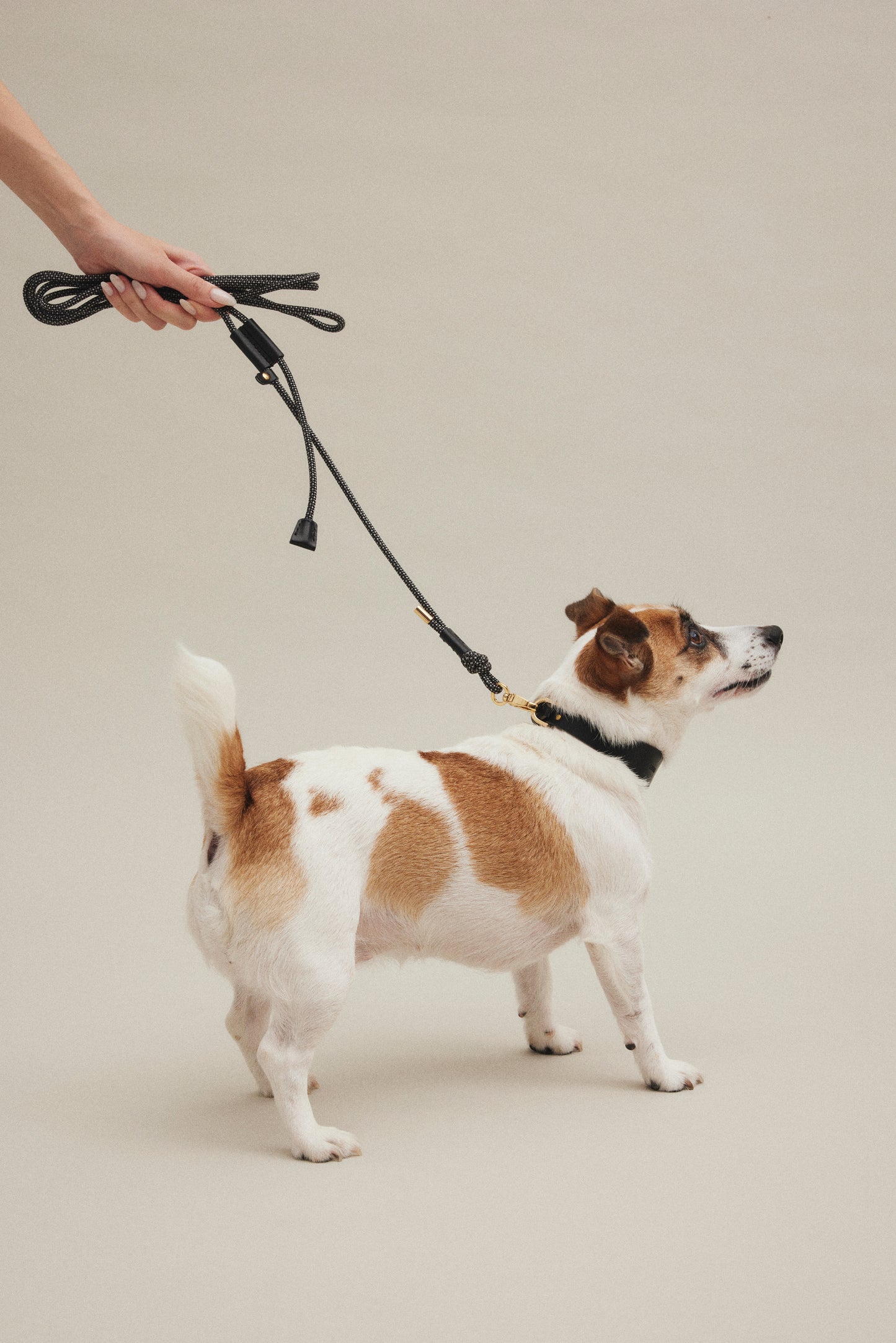 Shoulder Leash
