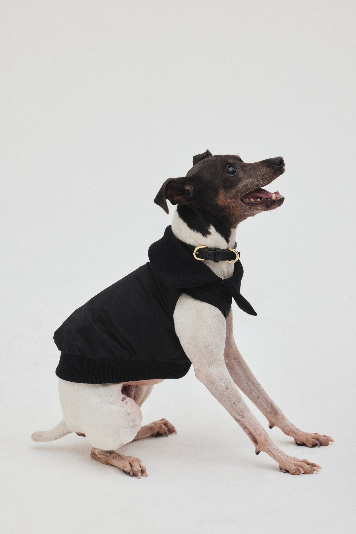 Rib Neck Pullover