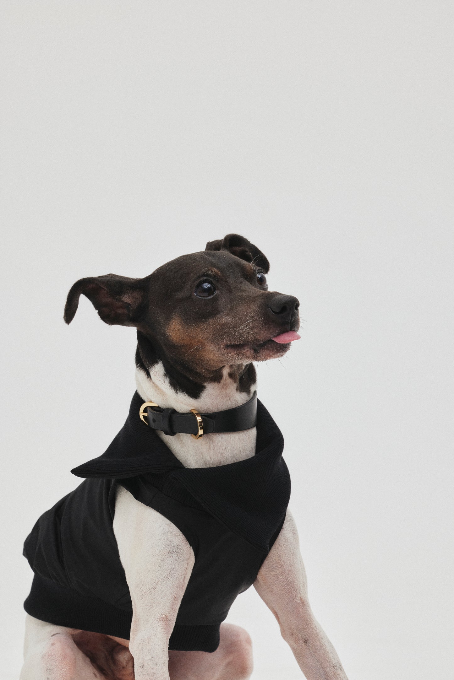 Rib Neck Pullover