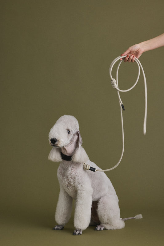 Shoulder Leash